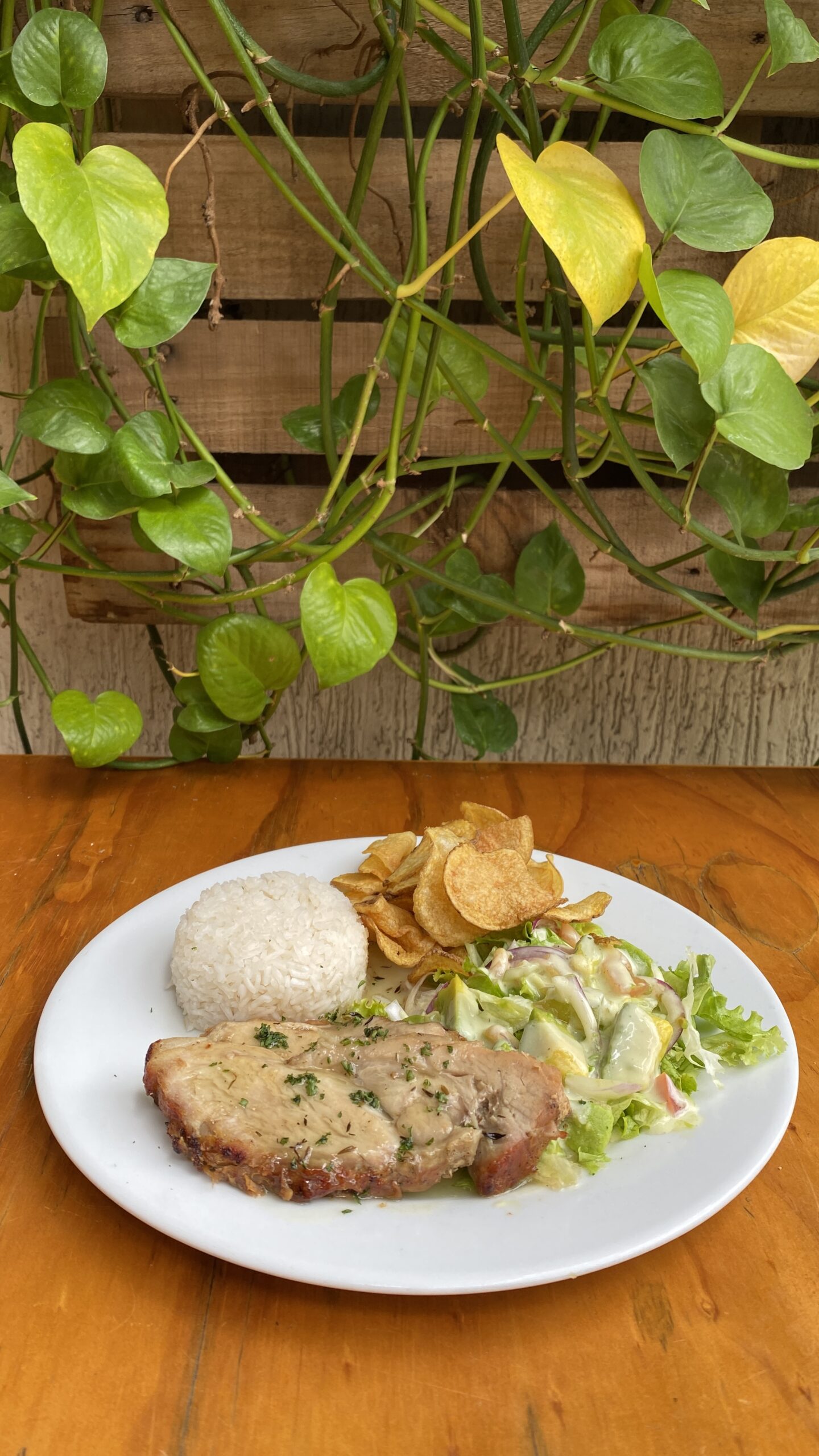 RES EN SALSA CHILTOMATE