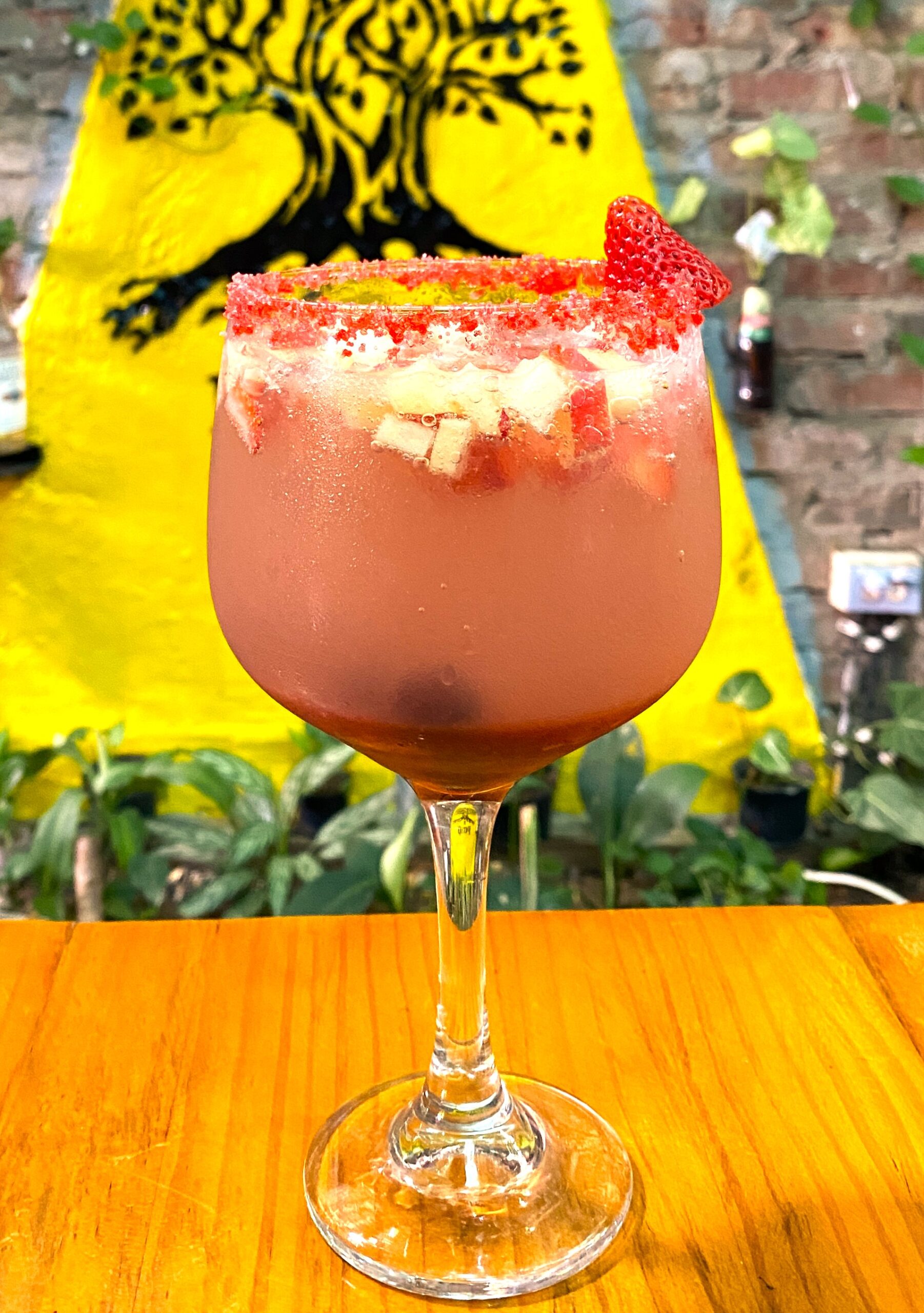 SODA DE FRUTOS ROJOS